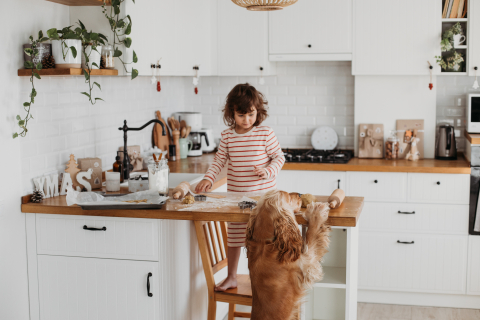 Barn står i köket och hund tittar på henne