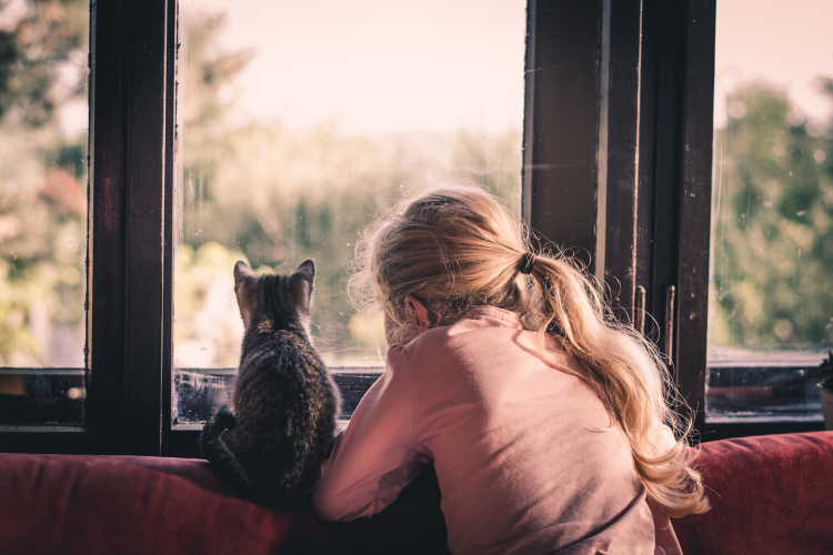 Liten flicka och katt som tittar ut genom fönstret 