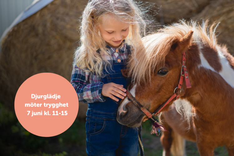 Flicka med ponny & texten djurglädje möter trygghet 7 juni kl. 11-15